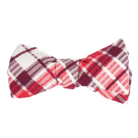 Amore Seersucker Bow Tie