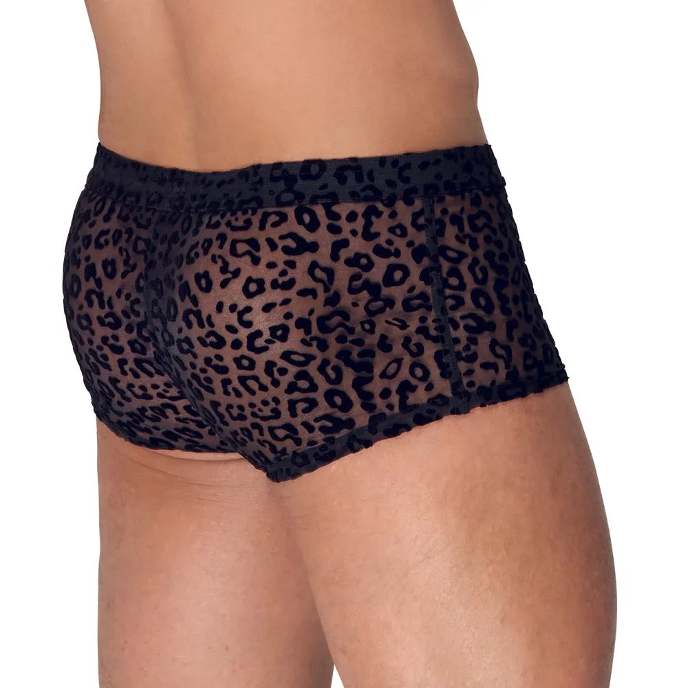 Noir Leopard Flock Shorts Sheer Black