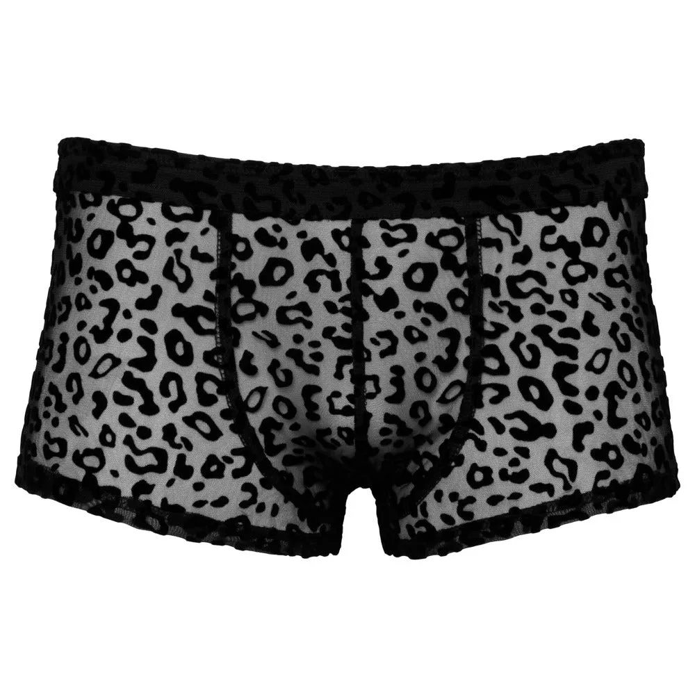 Noir Leopard Flock Shorts Sheer Black