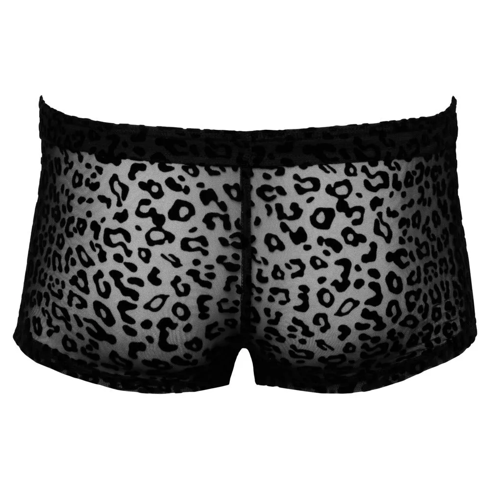 Noir Leopard Flock Shorts Sheer Black