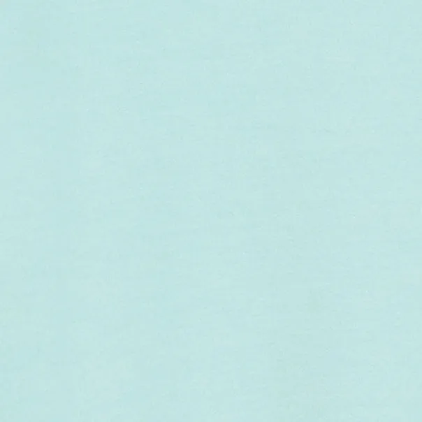 Stella T Shirt Aqua Green  Viscose Jersey