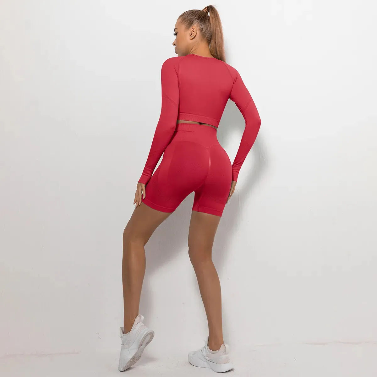 Women's Tight Round Neck Long Sleeved Top and Shorts Sports Active Wear Set