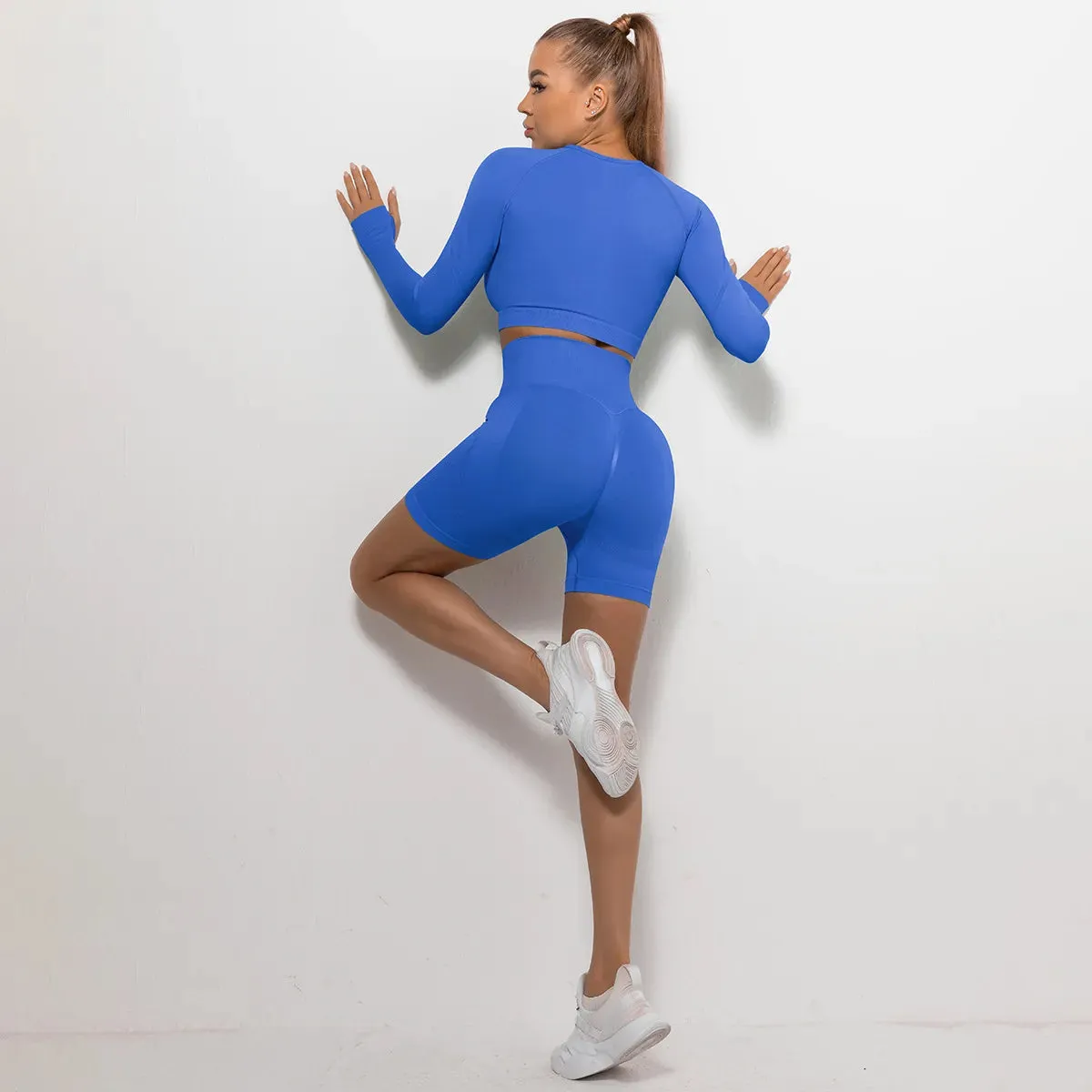 Women's Tight Round Neck Long Sleeved Top and Shorts Sports Active Wear Set